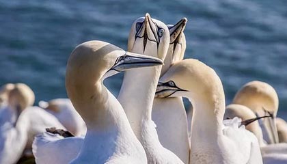 乐鱼体育app官网入口-国家队失误率居高不下反映训练漏洞，国家队难受